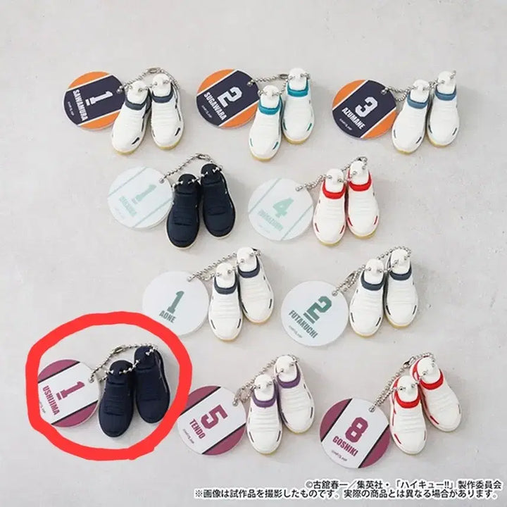 [BUNJANG] Haikyuu!! Miniature Shoes Collection - Wakatoshi Ushijima / 하이큐 미니어처 슈즈 컬렉션 배구화
