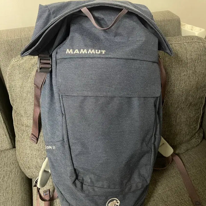 [BUNJANG] Mammut Zermatt Courier 25 Backpack / 마무트 제론 쿠리어 25 백팩