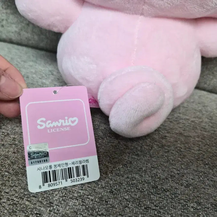 [BUNJANG] Sanrio Cinnamoroll Cherry Blossom Plush / 정품) 산리오 시나모롤 벚꽃 인형 봉제인형 새상품