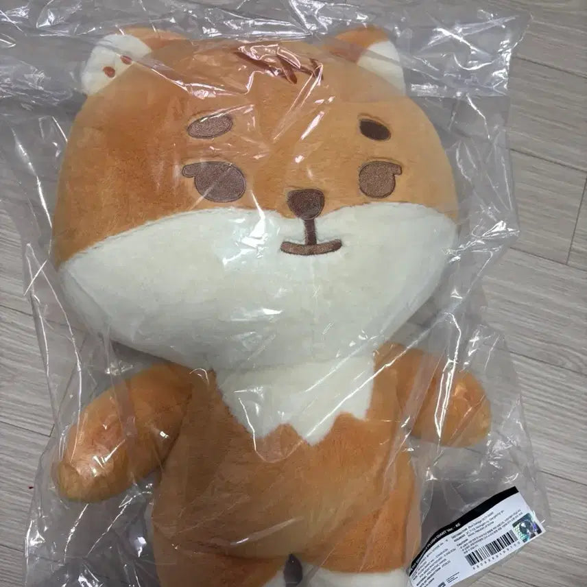 [BUNJANG] DAY6 Concert MD Giant "Bbeumul" Keychain / 데이식스 클콘 엠디 자이언트 쁘멀 케