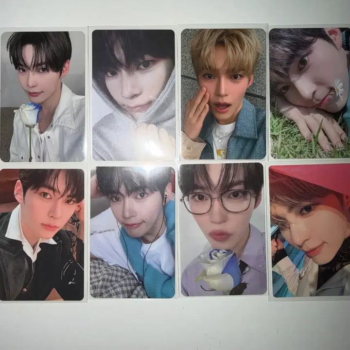 [BUNJANG] ZEROBASEONE Sung Hanbin Bundle Photocard Set / 가격내림)제로베이스원 제베원 성한빈 포카 일괄 판매