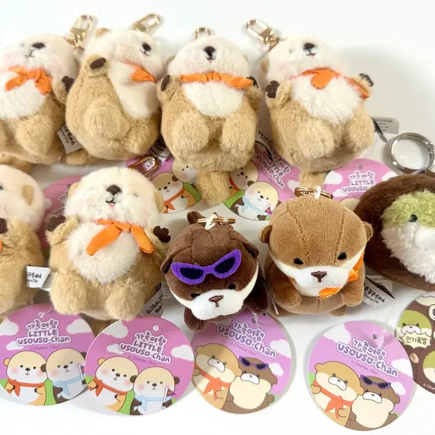 [BUNJANG] Woosoo Woosoo Jjang Otter Plush Keychain (New) / (새상품) 가족여행, 두쫀쿠 우소우소짱 수달 인형 키링 팝니다