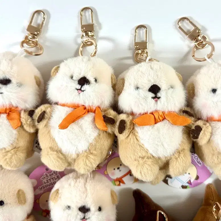 [BUNJANG] Woosoo Woosoo Jjang Otter Plush Keychain (New) / (새상품) 가족여행, 두쫀쿠 우소우소짱 수달 인형 키링 팝니다