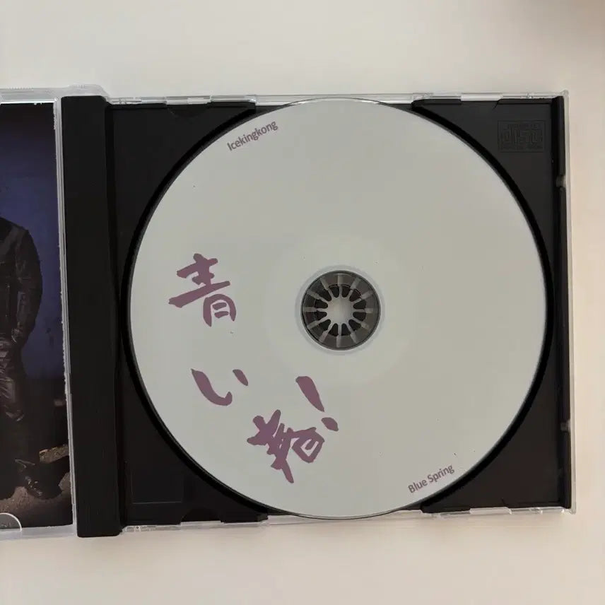[BUNJANG] Ice King Kong 1st Album Signed CD / [최종가격]아이스킹콩 블루스프링 싸인반 CD