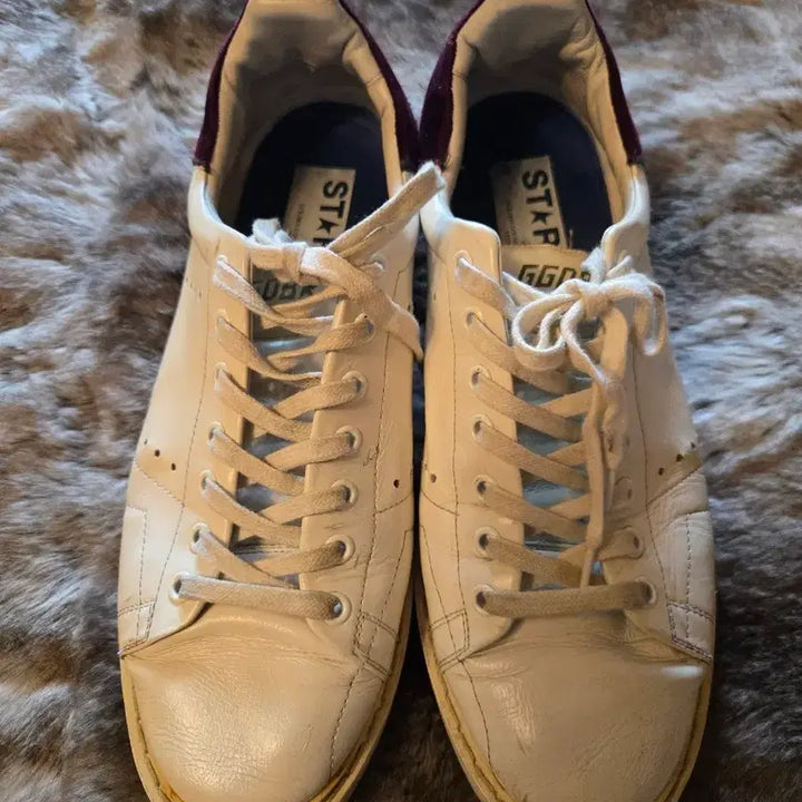 [BUNJANG] Golden Goose Starter Sneakers Size 42 / 골든구스 스타터 42