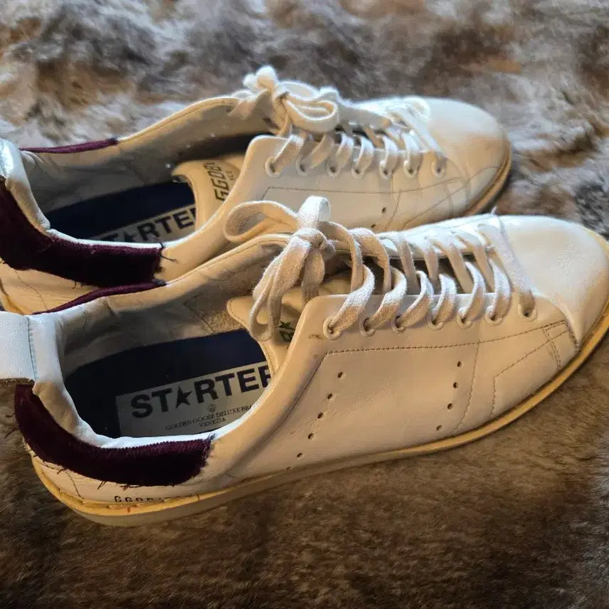 [BUNJANG] Golden Goose Starter Sneakers Size 42 / 골든구스 스타터 42