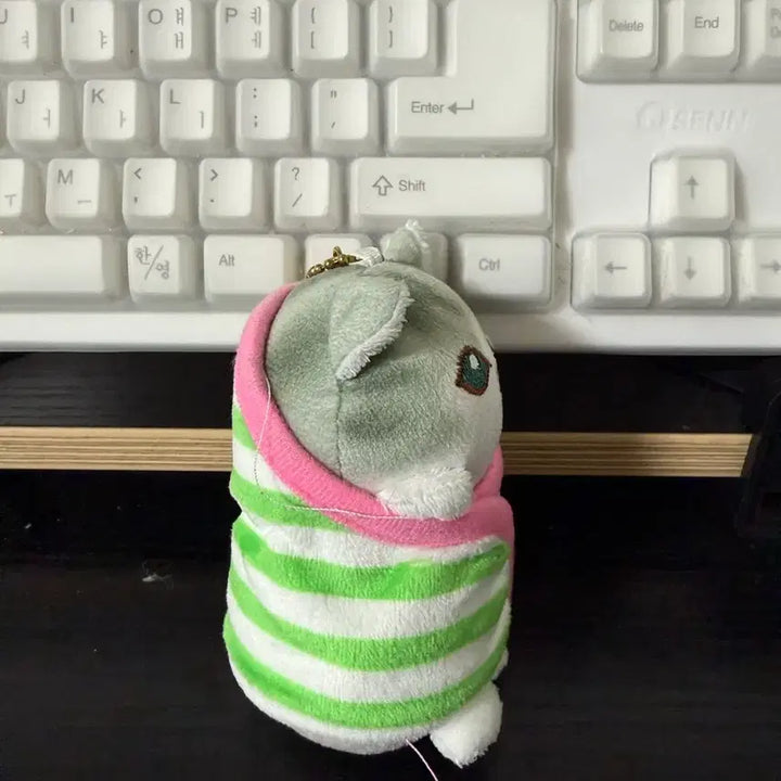 [BUNJANG] Green Striped Cat Plush Keychain Mascot / 초록 줄무늬 고양이 인형 키링 마스코트 (상태 상세 확인)