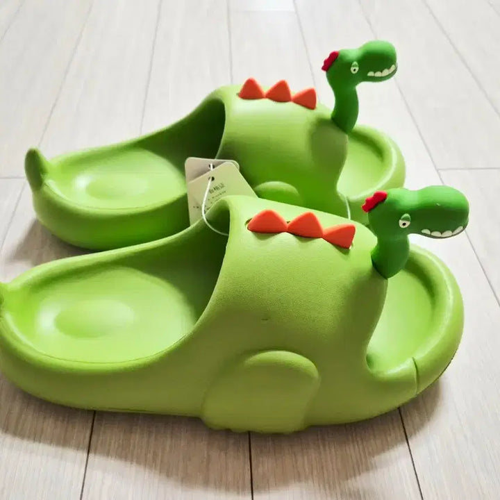 [BUNJANG] Dinosaur Design Slippers Green 250mm / 공룡 디자인 실내화 슬리퍼 그린 250mm