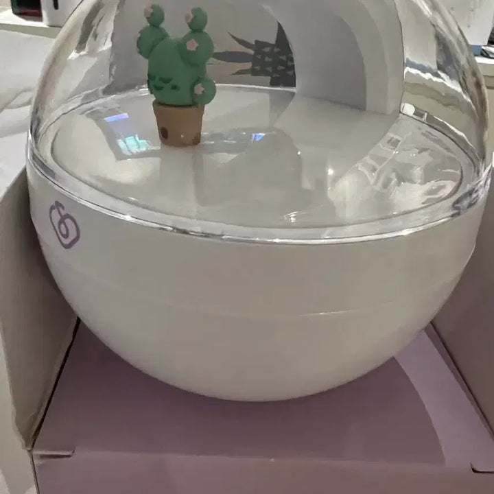 [BUNJANG] IU Cactus Humidifier (Sealed) / 아이유 가습기