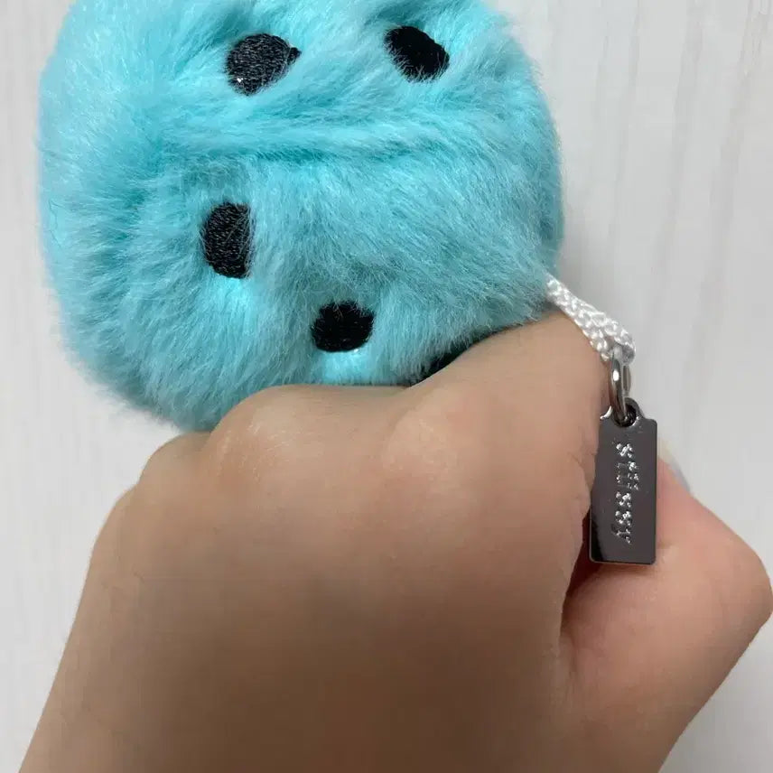 [BUNJANG] Stussy Dice Fuzz Keychain / 스투시 다이스 퍼지 키링