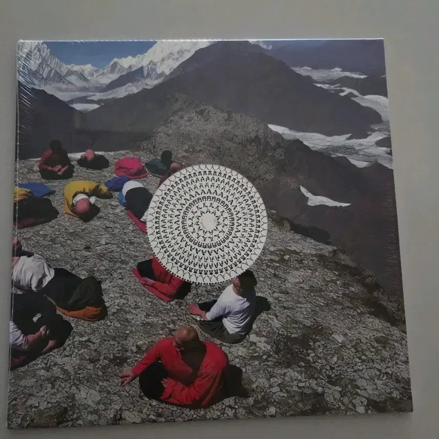 [BUNJANG] Hyukoh Sunset Rollercoaster AAA Sealed LP / 혁오 선셋 롤러코스터 AAA 미개봉 lp