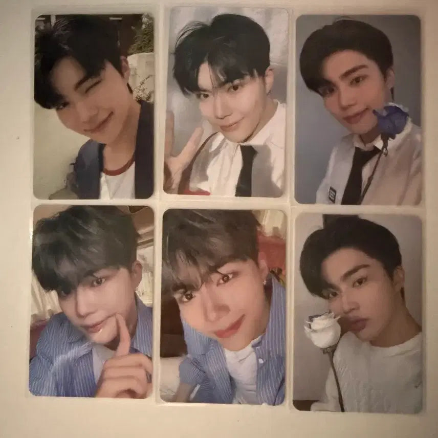 [BUNJANG] ZEROBASEONE Zb1 Park Gunwook Bundle Set Photocard / 제로베이스원 제베원 박건욱포카 일괄 판매