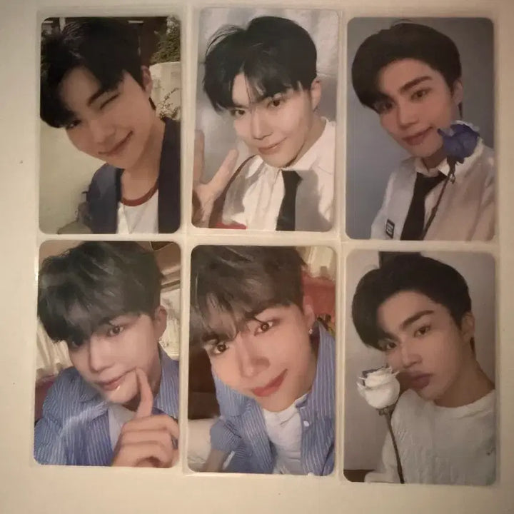 [BUNJANG] ZEROBASEONE Zb1 Park Gunwook Bundle Set Photocard / 제로베이스원 제베원 박건욱포카 일괄 판매