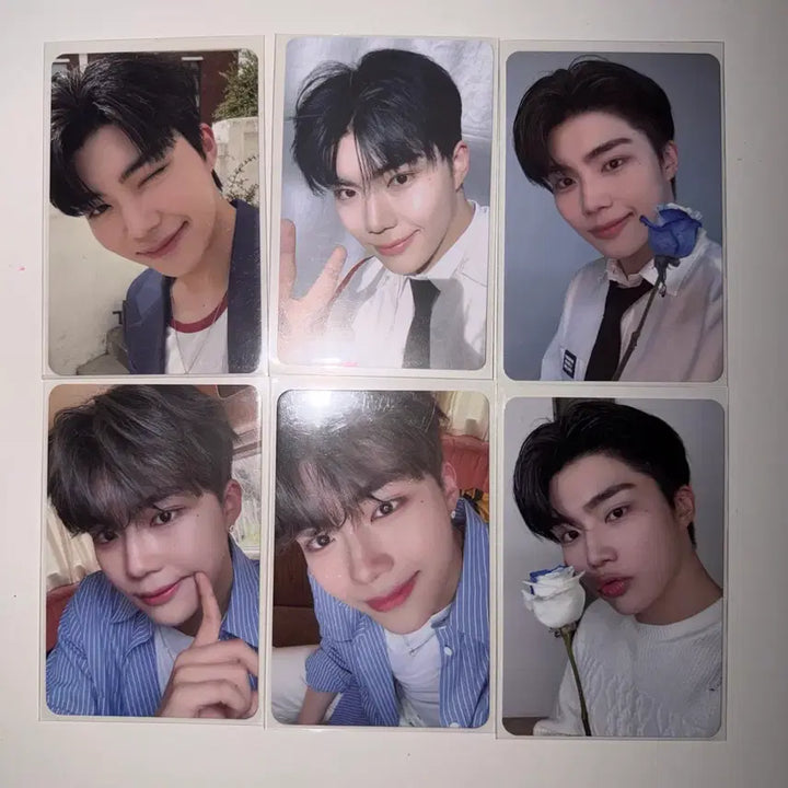 [BUNJANG] ZEROBASEONE Zb1 Park Gunwook Bundle Set Photocard / 제로베이스원 제베원 박건욱포카 일괄 판매