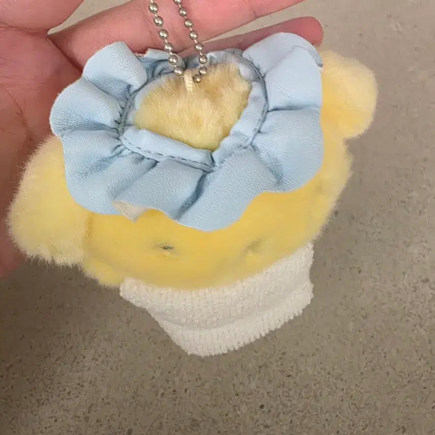 [BUNJANG] Sanrio Pompompurin Bath Plush / 목욕 폼폼푸린 폼푸