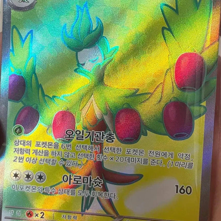 [BUNJANG] Pokemon Card Oliriba SR / 포켓몬카드 올리르바 SR