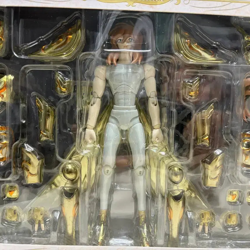 [BUNJANG] Saint Seiya Andromeda Shun Limited Edition Plastic Model / 세인트세이야 안드로메다 슌