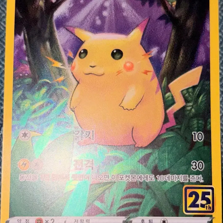[BUNJANG] Pokemon Card Pikachu 25th Anniversary / 포켓몬 카드 피카츄 25주년