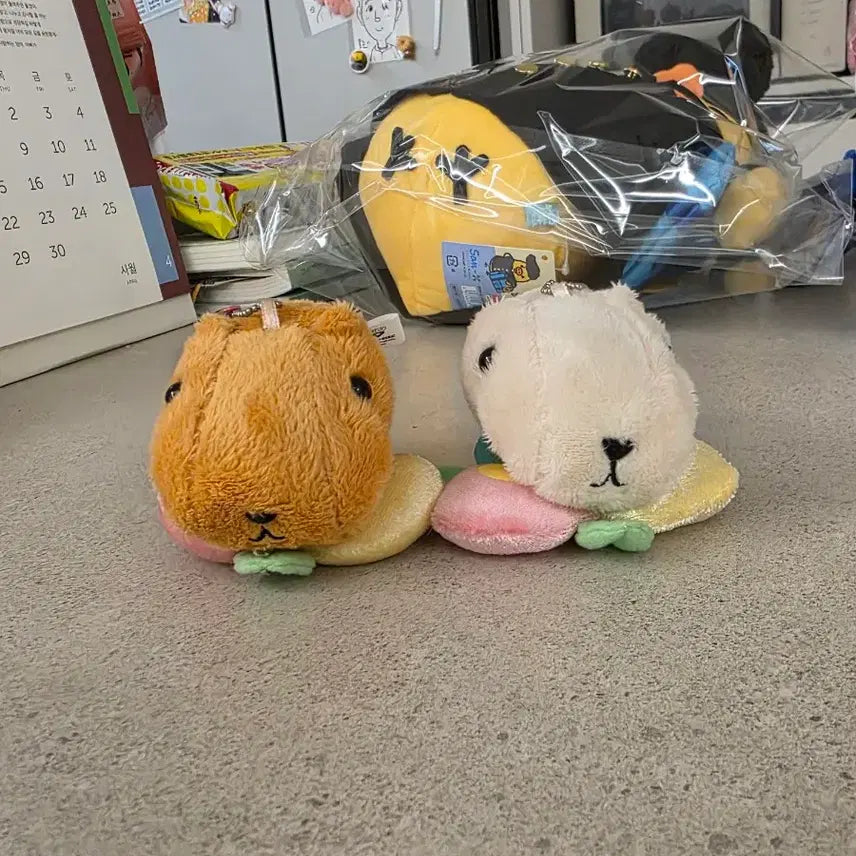 [BUNJANG] Capybara Set / 카피바라 세트