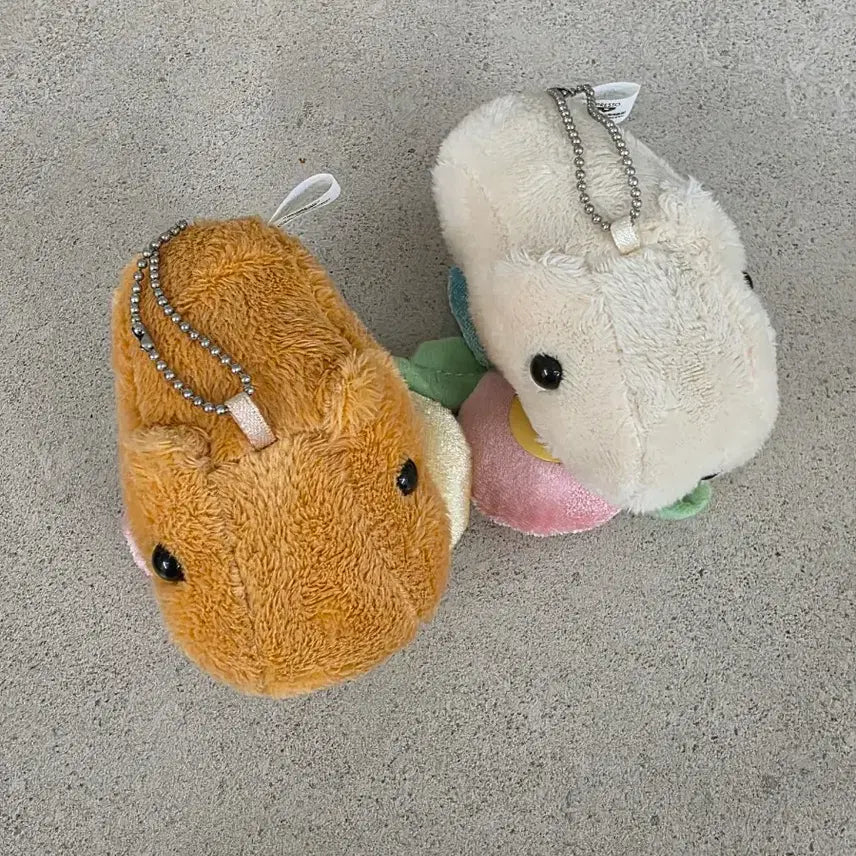 [BUNJANG] Capybara Set / 카피바라 세트