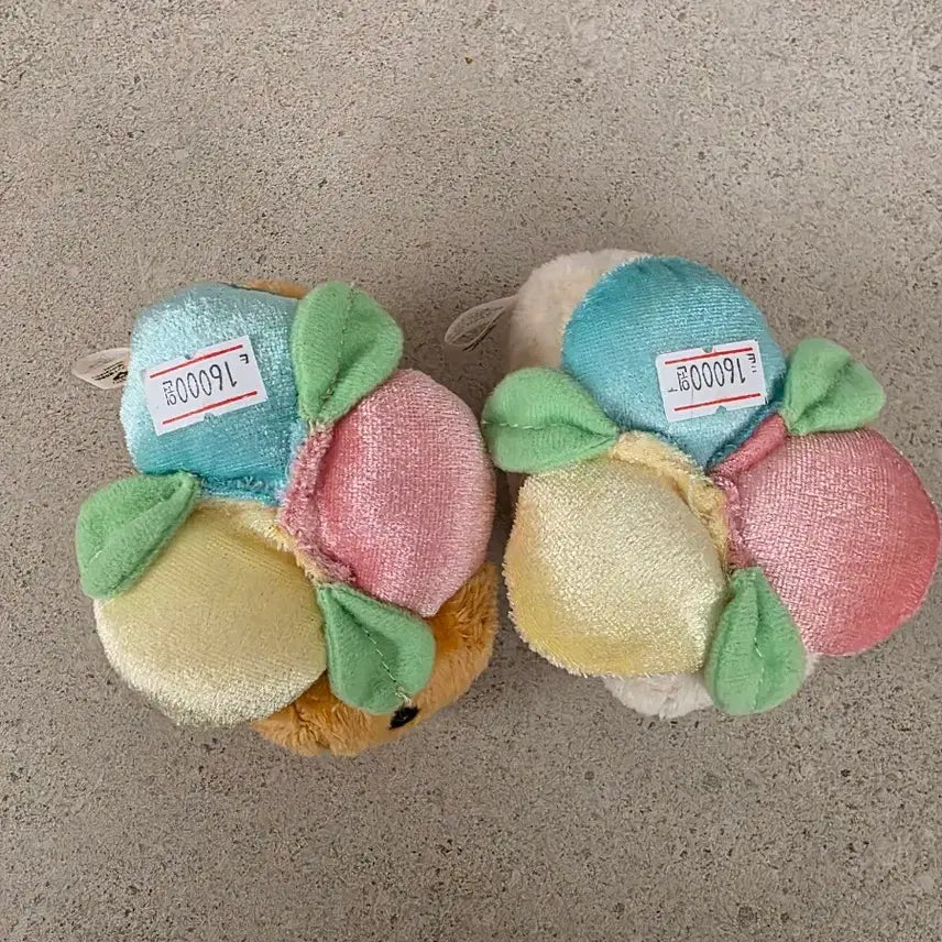 [BUNJANG] Capybara Set / 카피바라 세트