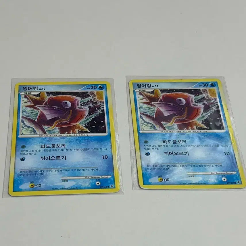 [BUNJANG] Gyarados DP Pokemon Card / 잉어킹 dp 포켓몬 카드