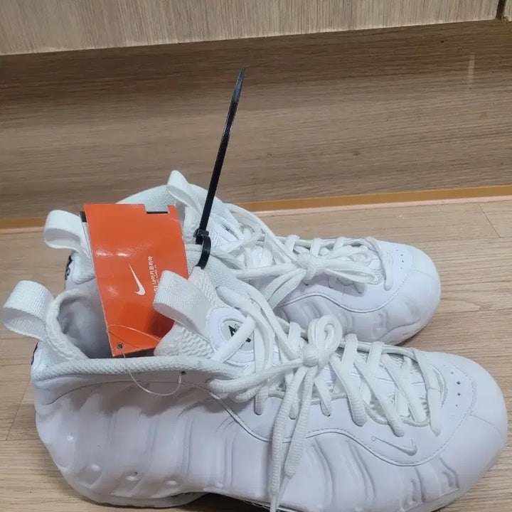 [BUNJANG] Nike Air Foamposite One &