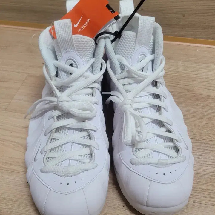 [BUNJANG] Nike Air Foamposite One &