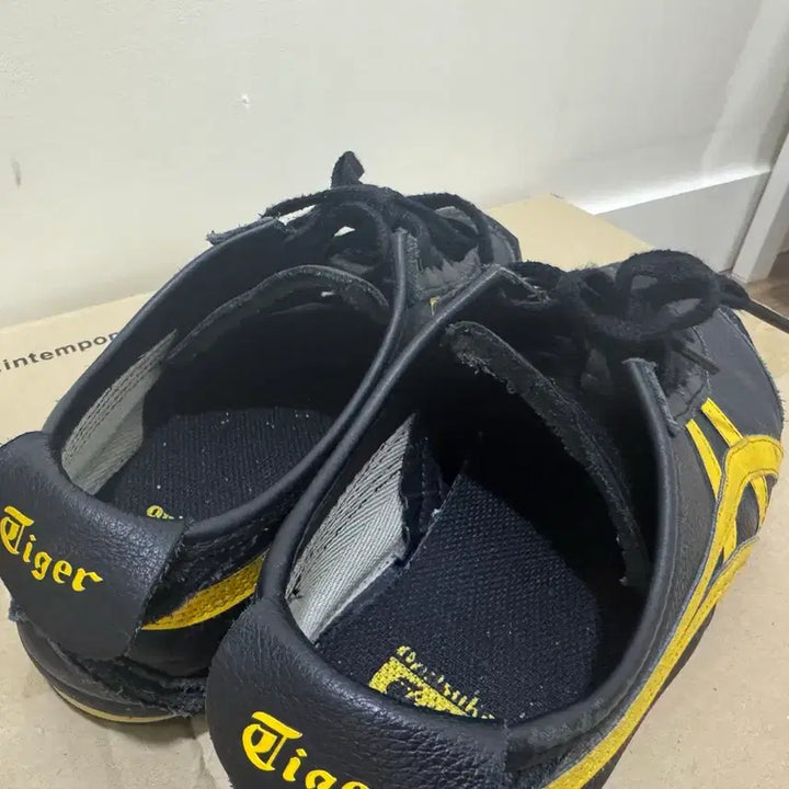[BUNJANG] Onitsuka Tiger Mexico 66 Sneakers / 오니츠카 타이거 멕시코66 260