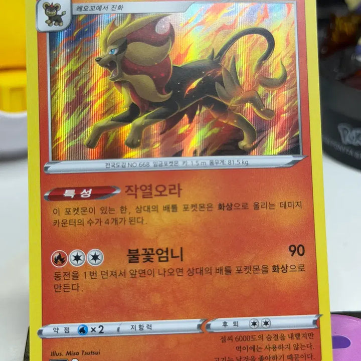 [BUNJANG] Fire Leo Hologram 016/067 / 화염레오 s9a 016/067 홀로그램 300원