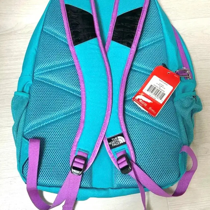[BUNJANG] The North Face Mintcore Backpack Bag / 노스페이스 민트코어 가방 판매