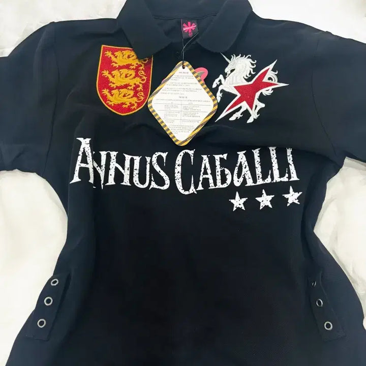 [BUNJANG] GT184 Cavalli Collar T-shirt (Riku Wear) / (리쿠 착용) GT184 카발리 카라 티셔츠 m