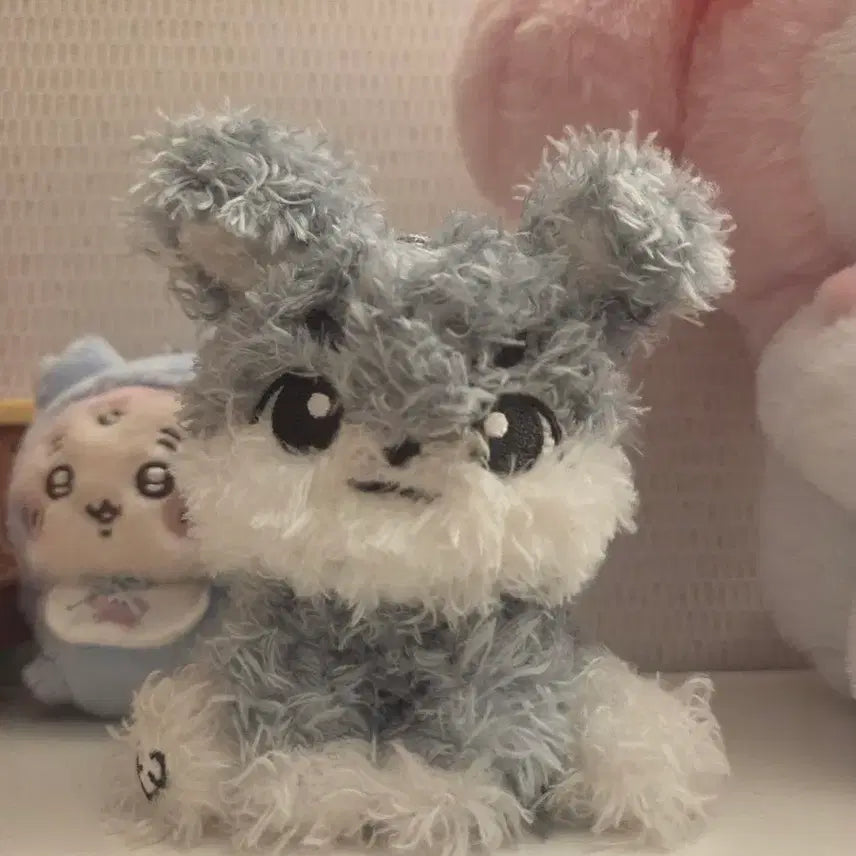 [BUNJANG] DAY6 Wonpil Pil-dengie Plush Doll / 데이식스 원필 인형 필댕이