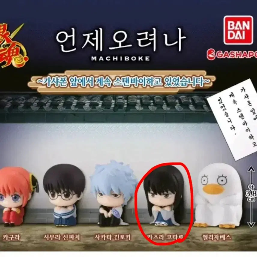 [BUNJANG] Gintama Machiboke Gacha Figure - Katsura Kotaro / 은혼 마치보케 1탄 가챠 피규어 즈라 카츠라 코타로