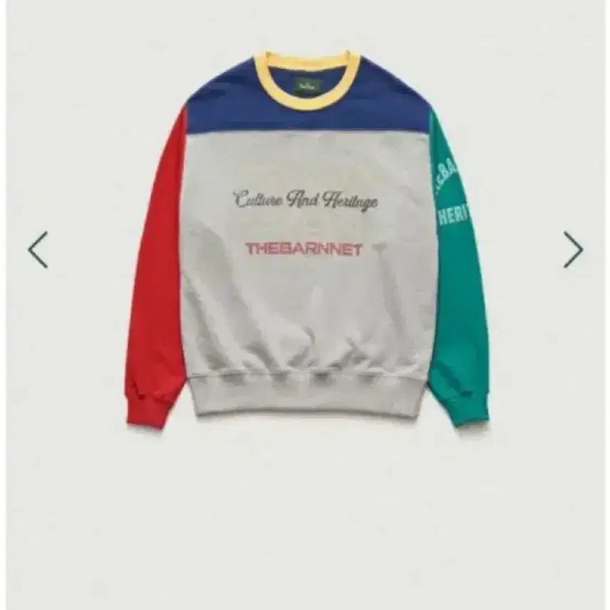 [BUNJANG] TheBarnet Colorblock Sweatshirt / 더바넷 컬러블록 맨투맨