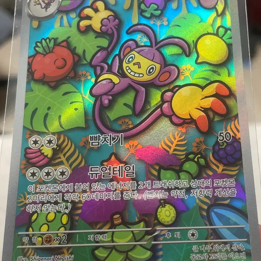 [BUNJANG] Pokemon Card Ghetinbo AR / 포켓몬 카드 겟핸보숭 AR