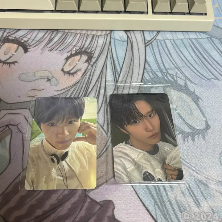 [BUNJANG] NCT WISH Jaehee Bundle Set Photocard / 엔시티위시 재희 일괄 판매