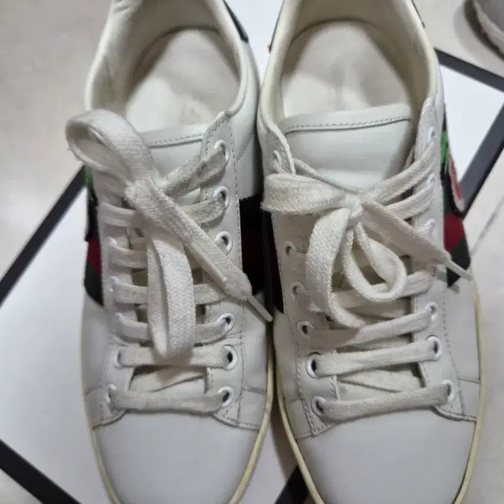 [BUNJANG] Gucci Ace Sneakers Size 36 / 구찌 에이스 사과 36