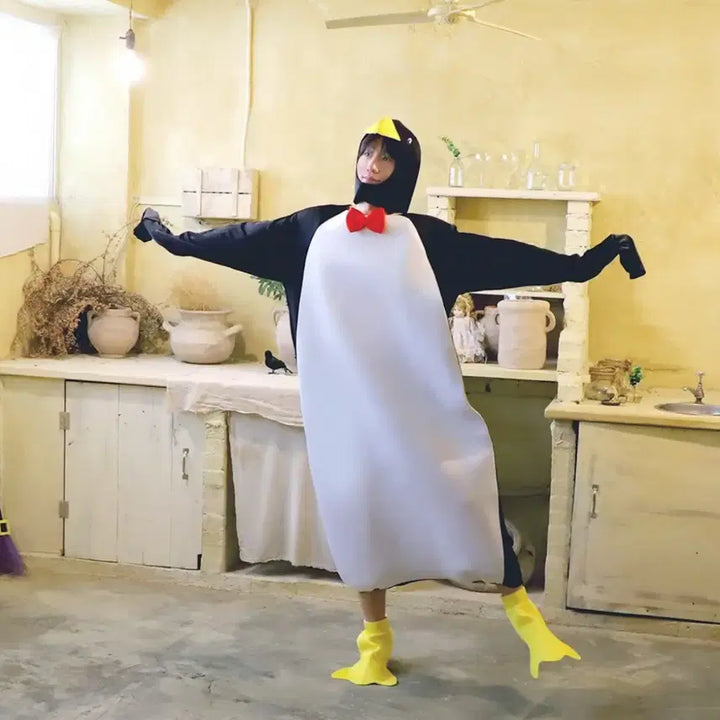 [BUNJANG] Penguin Graduation Costume Rental / 졸업사진 펭귄 코스튬 옷 대여(최저가)(답장빨라요!!)