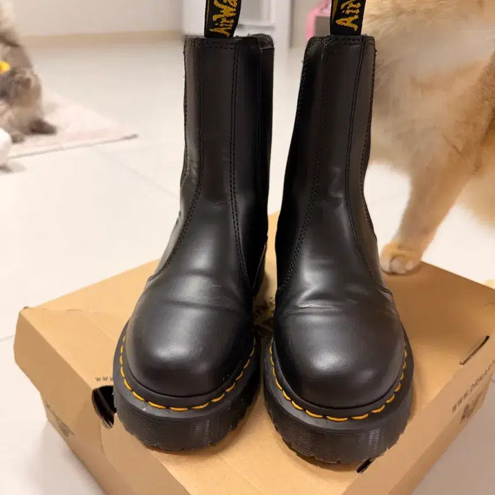 [BUNJANG] Dr. Martens Black Chelsea Boots with Zipper UK 4 / 닥터마틴 블랙 첼시 부츠 지퍼 uk4 하이벡스