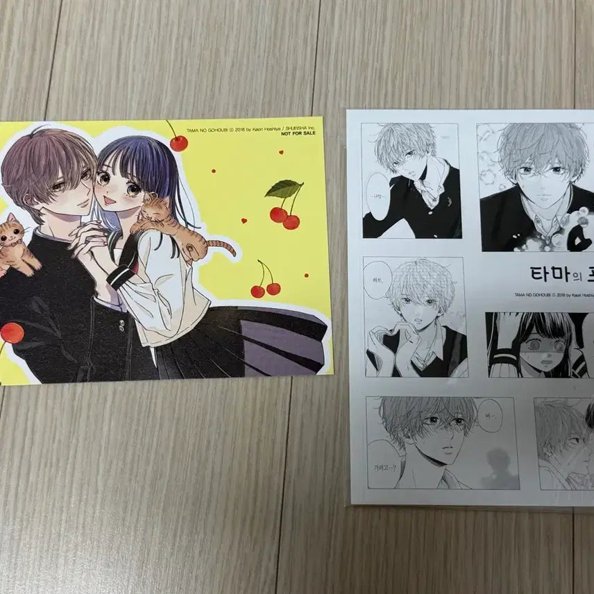 [BUNJANG] TAMA Reward Special POB Bundle Set Photocard (Sealed) / 타마의 포상 특전 미개봉 일괄