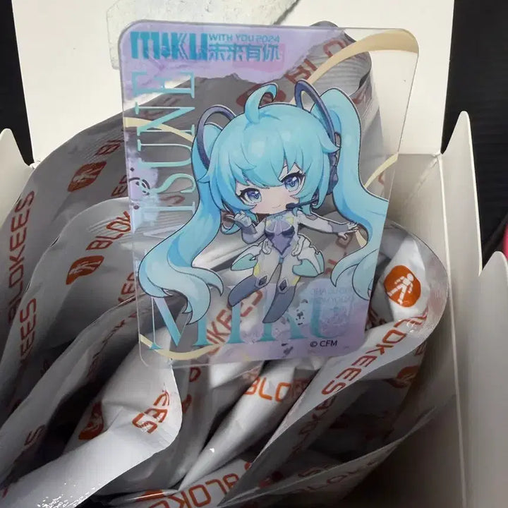 [BUNJANG] Bloquee Hatsune Miku With You 2024 Figure / 블로키 하츠네 미쿠 위드유 2024