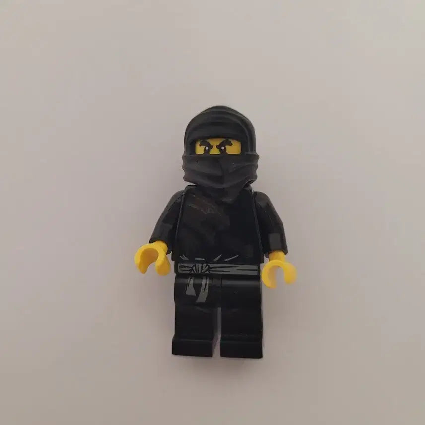 [BUNJANG] LEGO Ninjago DX Cole / 레고 닌자고 DX 콜
