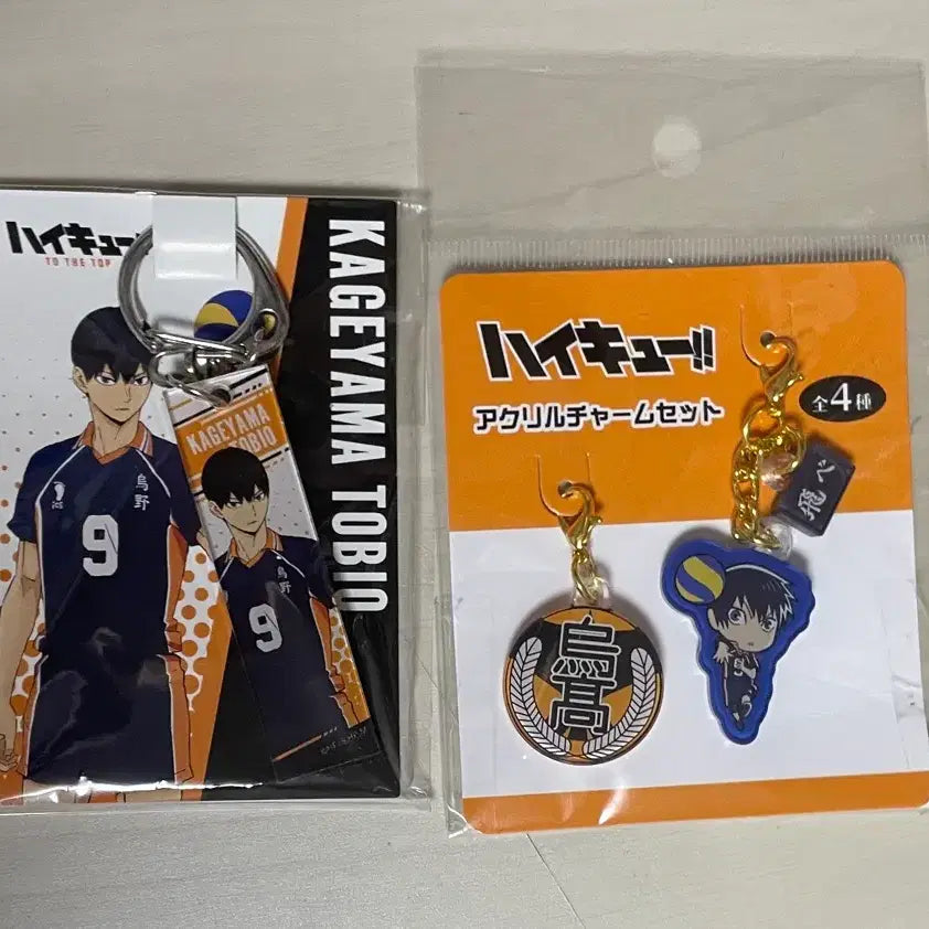 [BUNJANG] Haikyuu!! Kageyama Tobio Keychain Bundle Set / 하이큐 카게야마 토비오 키링 일괄