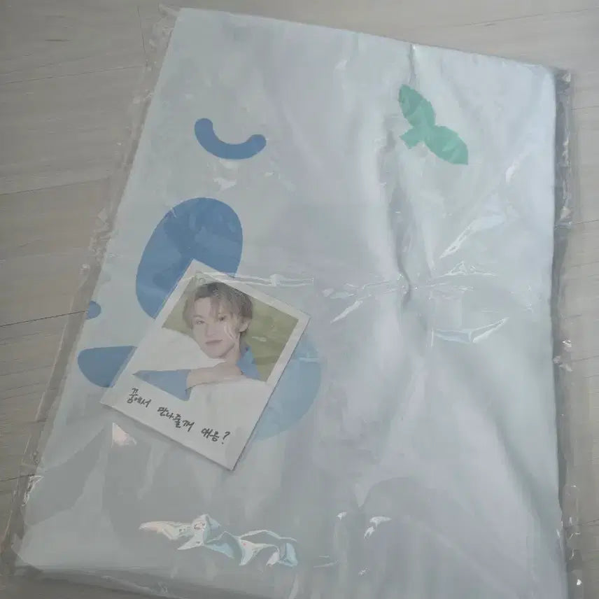 [BUNJANG] Boong-ee Pillow Cover Mark / NCT DREAM 부훙이 베개 커버 마크