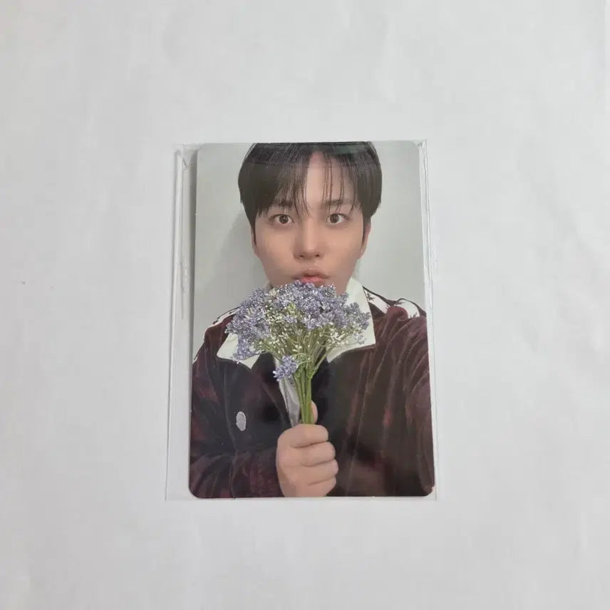 [BUNJANG] Ateez Aniteez In Color Popup Jongho Photocard / 에이티즈 애니티즈 팝업 특전 종호 포카 Ateez Aniteez Poca