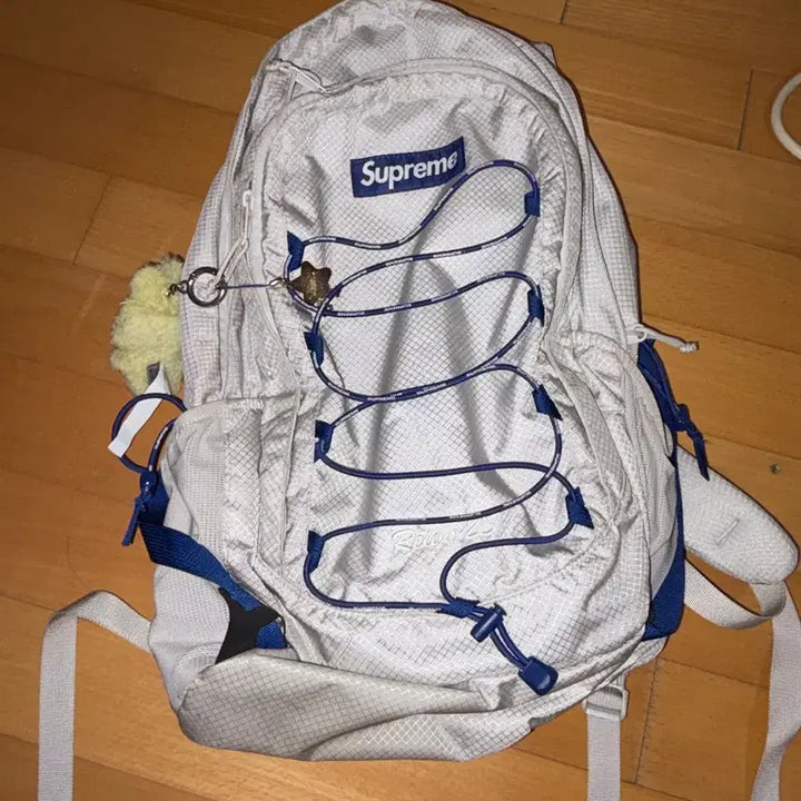 [BUNJANG] Supreme 22SS Silver Backpack / 슈프림 22ss 실버 백팩