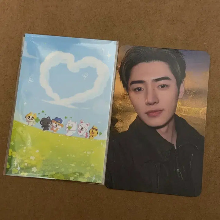 [BUNJANG] ENHYPEN Sunghoon Blood Type: NI-KI Engine Zone Photocard / 엔하이픈 콘서트 블러드사가 엔진존 포카 성훈