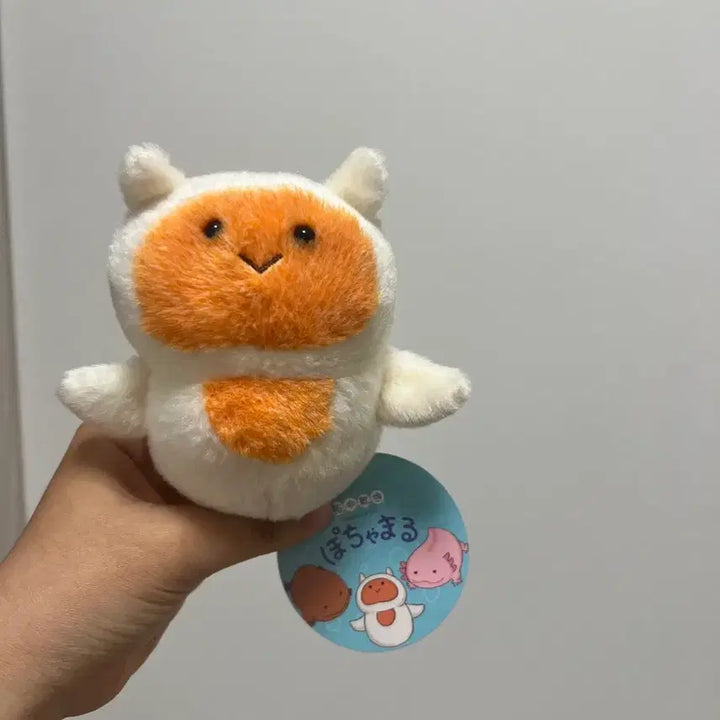 [BUNJANG] Pochamaru Clione Plush / 포챠마루 해양동물 클리오네 인형 일본 인형