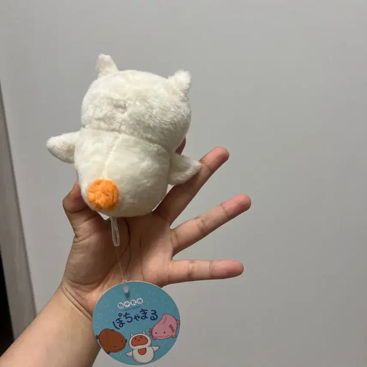 [BUNJANG] Pochamaru Clione Plush / 포챠마루 해양동물 클리오네 인형 일본 인형